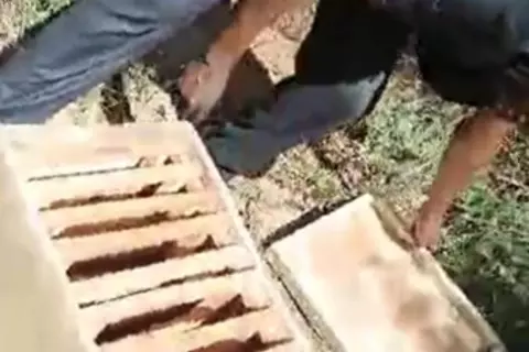 Beehive at St. Ignatius Secondary School in Malawi