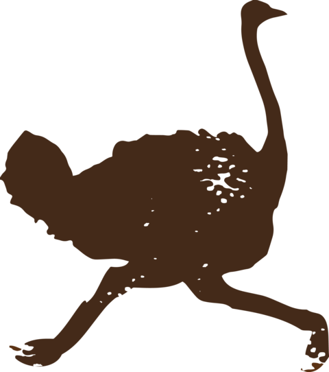 A drawing of an ostrich running.