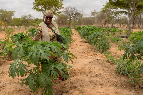 Die Franziskanerin Loice Kashangura auf der Obstplantage neben der künftigen Sekundarschule in Choma.